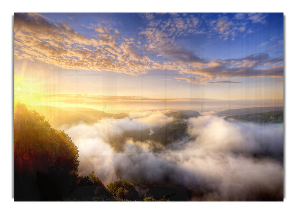 Morning Mist Over The Forest