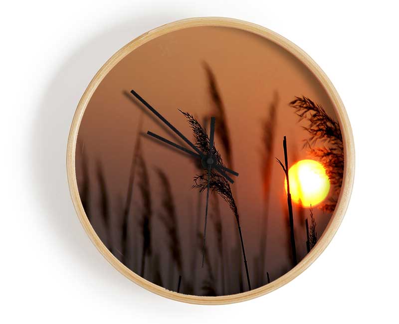 Reed Silhouette At Sunset Clock - Wallart-Direct UK