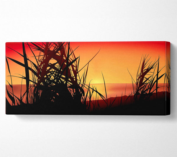 The Sunset Reeds