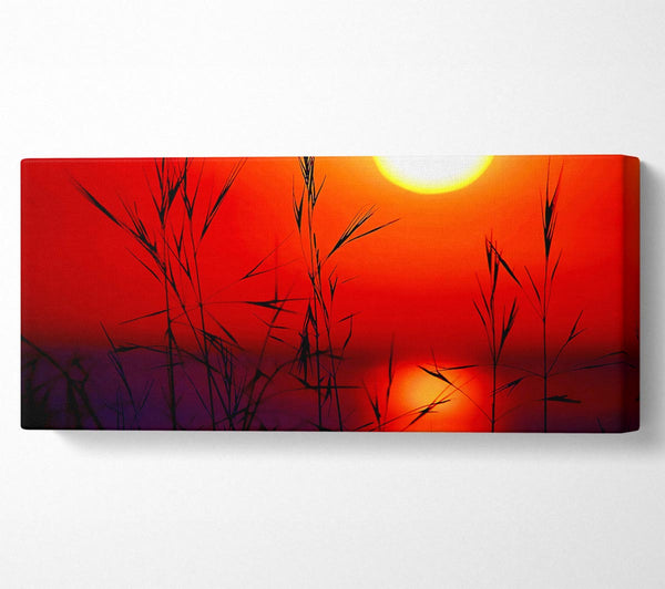 Sun Through The Red Reeds