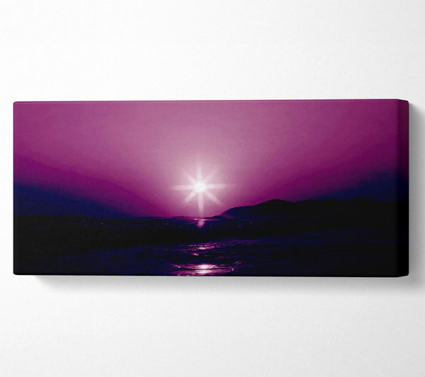 Sunstar Purple