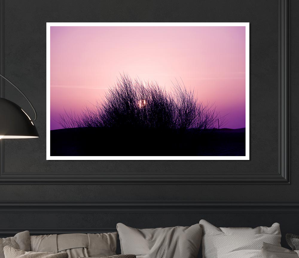 The Sun Reeds Pink Print Poster Wall Art