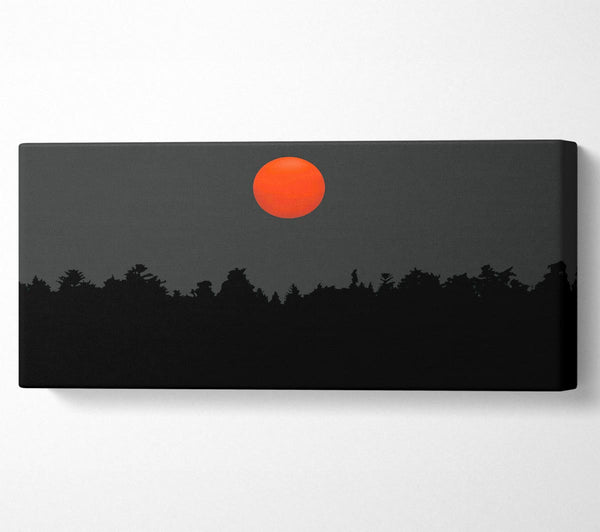 The Red Sun Over The Grey Treeline