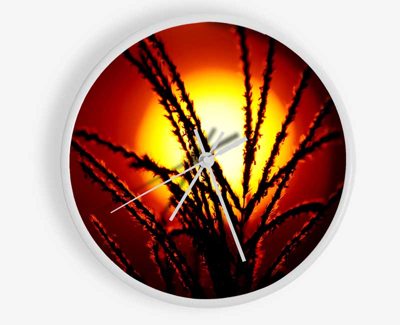 As The Sun Lights Up The Reeds Clock - Wallart-Direct UK