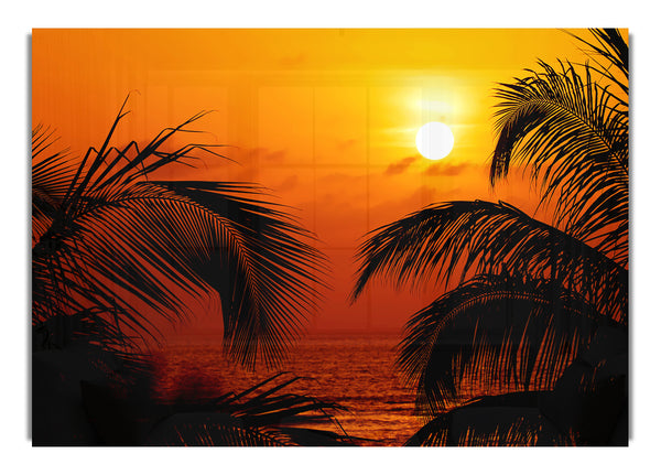 Orange Palmtree Sun