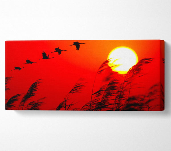 Geese In Flight Under The Red Sun