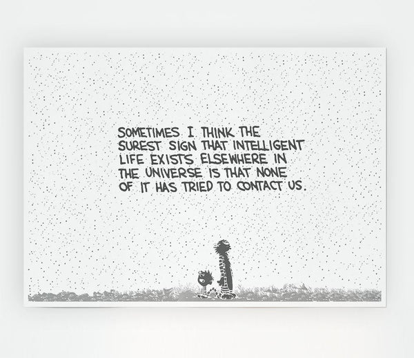 Funny Quote Sometimes I Think The Surest Sign Grey Print Poster Wall Art