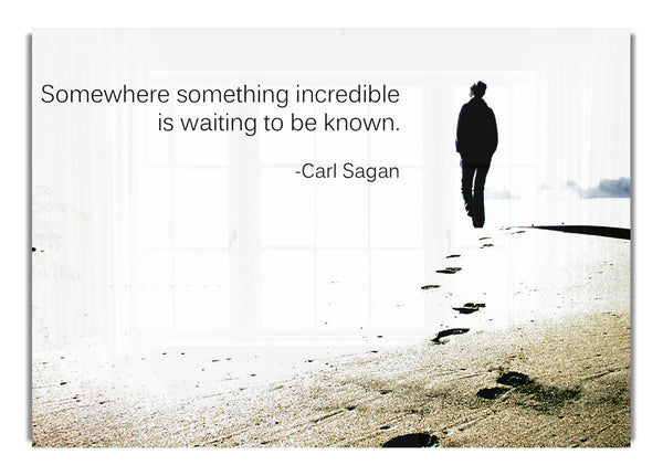 Carl Sagan Somewhere Something