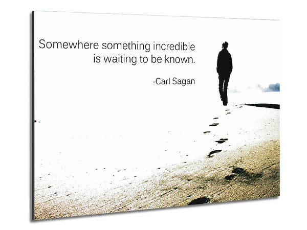 Motivational Quote Carl Sagan Somewhere Something