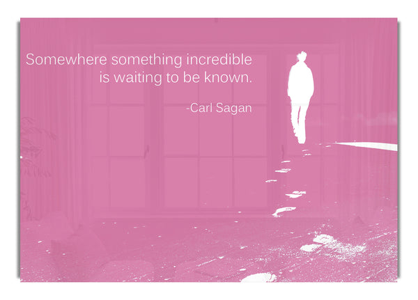 Carl Sagan Somewhere Something  Pink