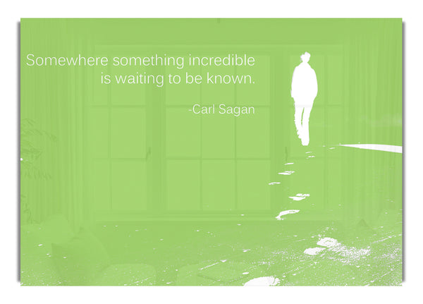 Carl Sagan Somewhere Something  Lime Green