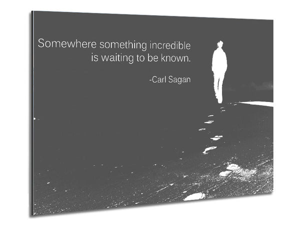 Carl Sagan Somewhere Something Grey