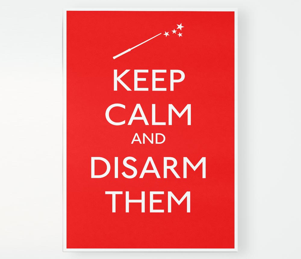 Keep Calm Disarm Them Print Poster Wall Art