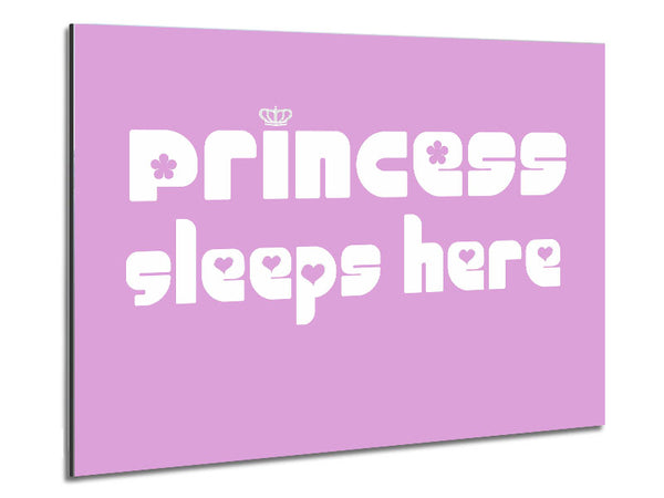 Nursery Quote Princess sleeps 2 Pink