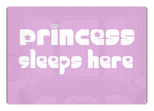 Princesssleeps2 Pink