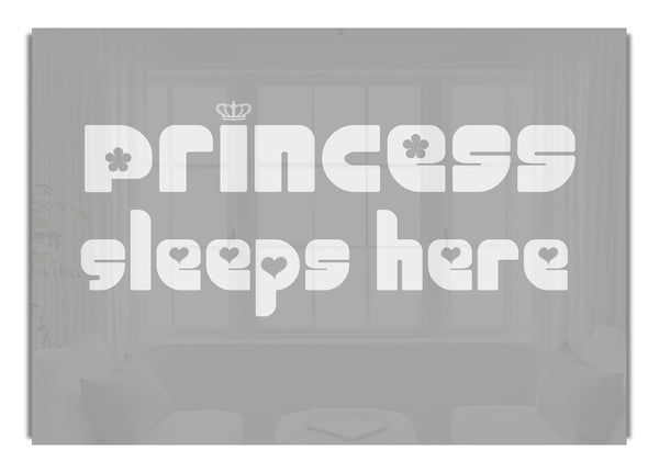 Princesssleeps2 Grey White