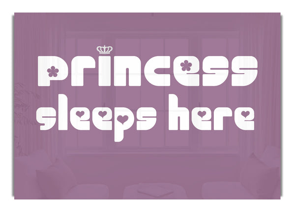 Princesssleeps2 Dusty Pink