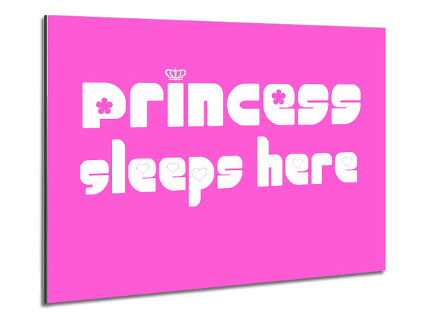 Girls Room Quote Princesss Sleeps Here 2 Vivid Pink