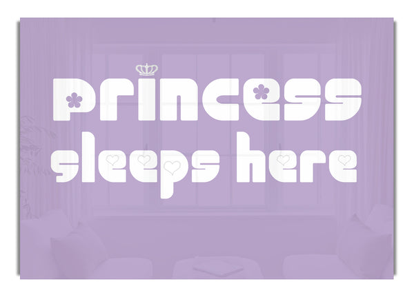 Princesss Sleeps Here 2 Lilac