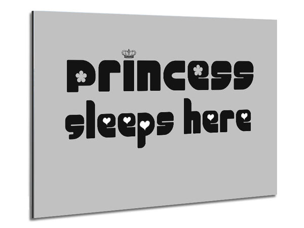 Princesss Sleeps Here 2 Grey