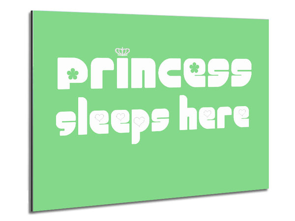 Princesss Sleeps Here 2 Green