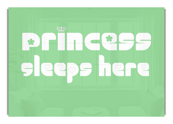 Princesss Sleeps Here 2 Green