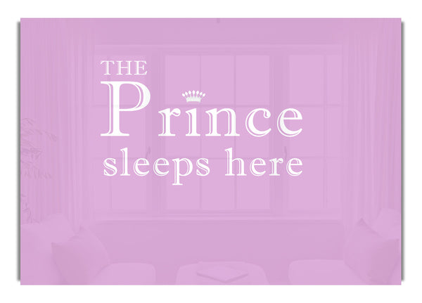 The Prince Sleeps Here Pink