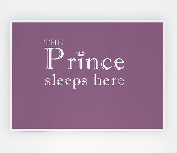 Boys Room Quote The Prince Sleeps Here Dusty Pink Print Poster Wall Art