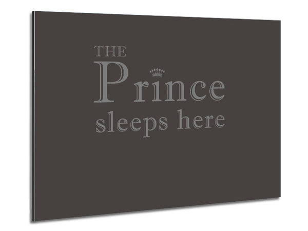 Boys room Quote The Prince Sleeps Here Chocolate