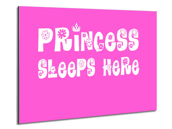 Nursery Quote Princesss Sleeps Here Vivid Pink