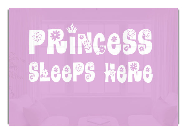 Princesss Sleeps Here Pink