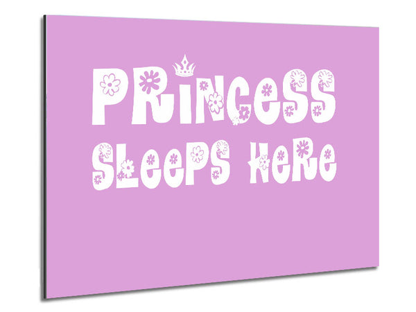 Princesss Sleeps Here Pink