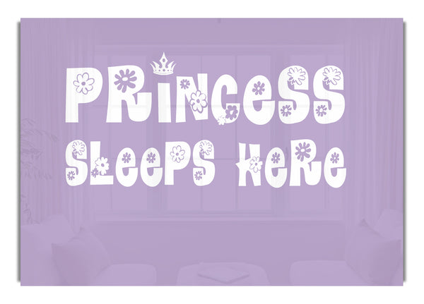 Princesss Sleeps Here Lilac