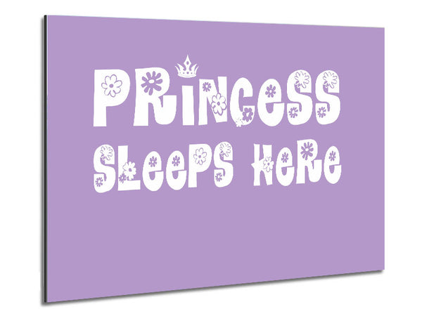 Nursery Quote Princesss Sleeps Here Lilac