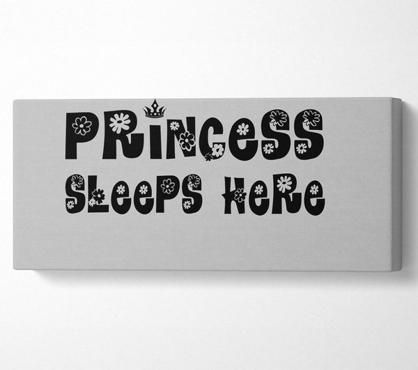 Princesss Sleeps Here Grey