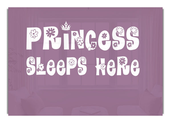 Princesss Sleeps Here Dusty Pink