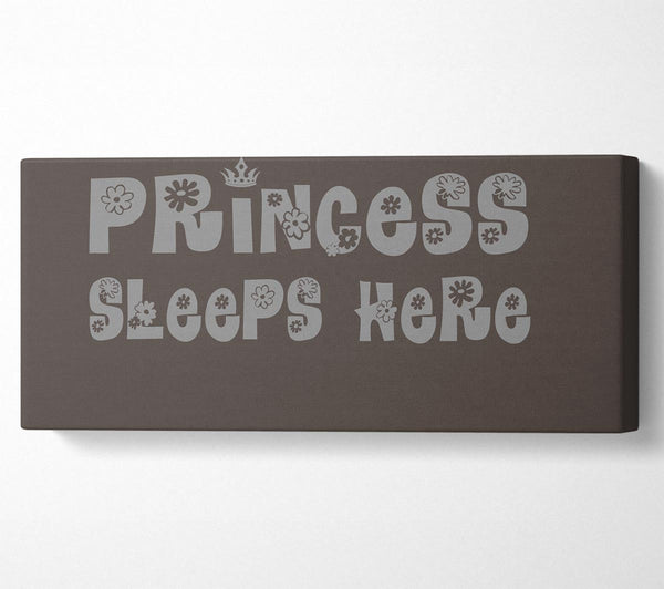 Princesss Sleeps Here Chocolate