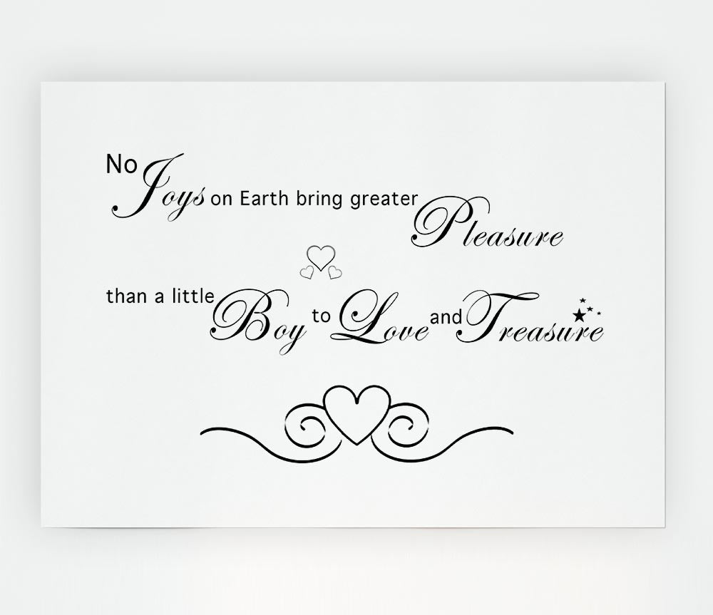 Boys Room Quote No Joys On Earth Bring Pleasure White Print Poster Wall Art