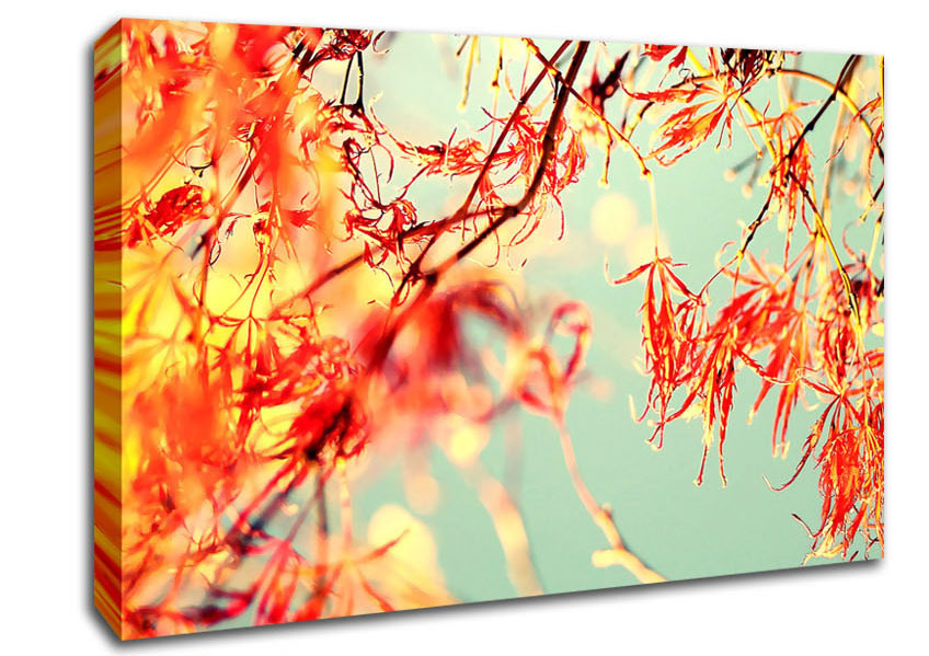 Picture of A Broader View Canvas Print Wall Art