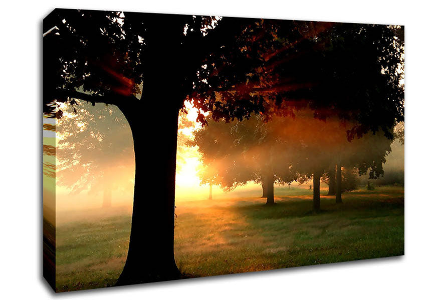 Picture of A New Day Canvas Print Wall Art