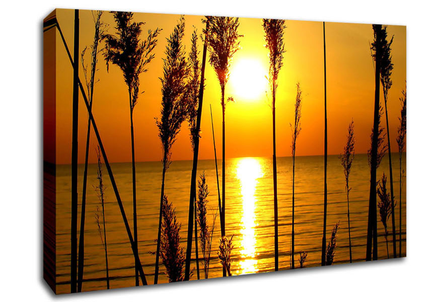 Picture of A Perfect Sunset Canvas Print Wall Art