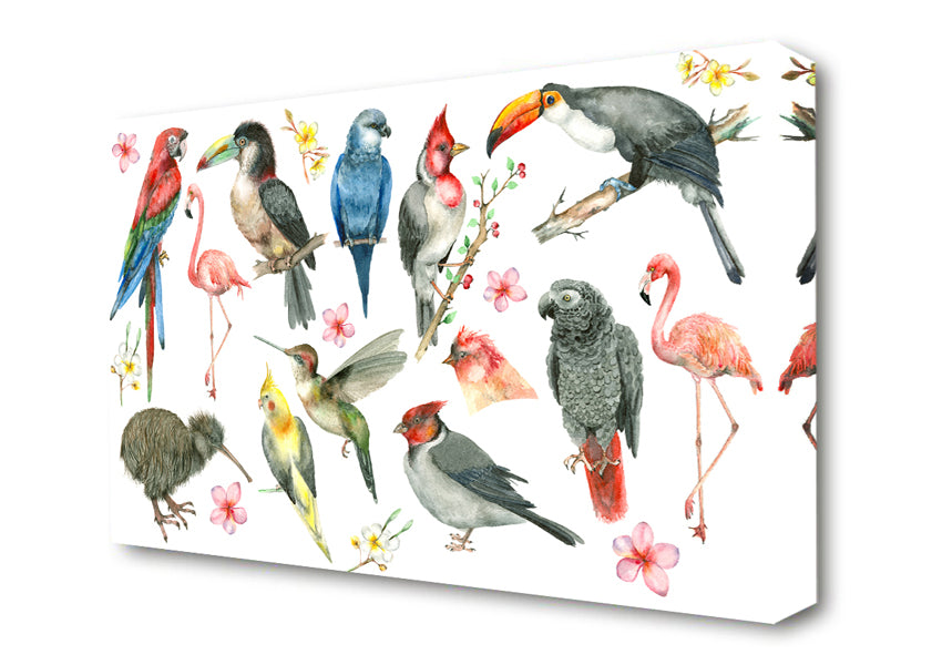 Picture of A Collage Of Birds Canvas Print Wall Art