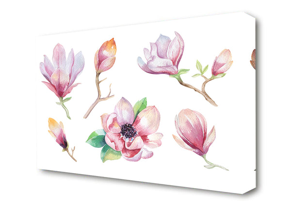 Picture of A Selection Of Watercolour Flowers Canvas Print Wall Art