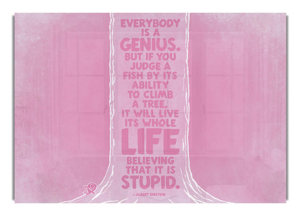 Albert Einstein Everybody Is A Genius Pink