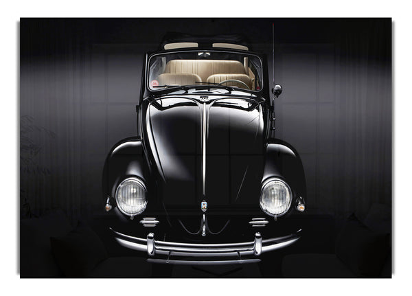 Beetle Love Black