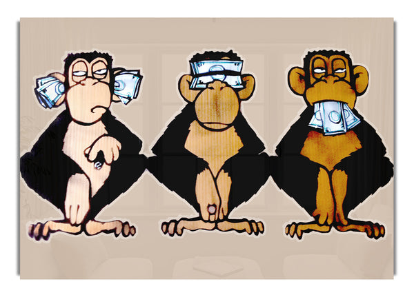 Money Monkeys Wise