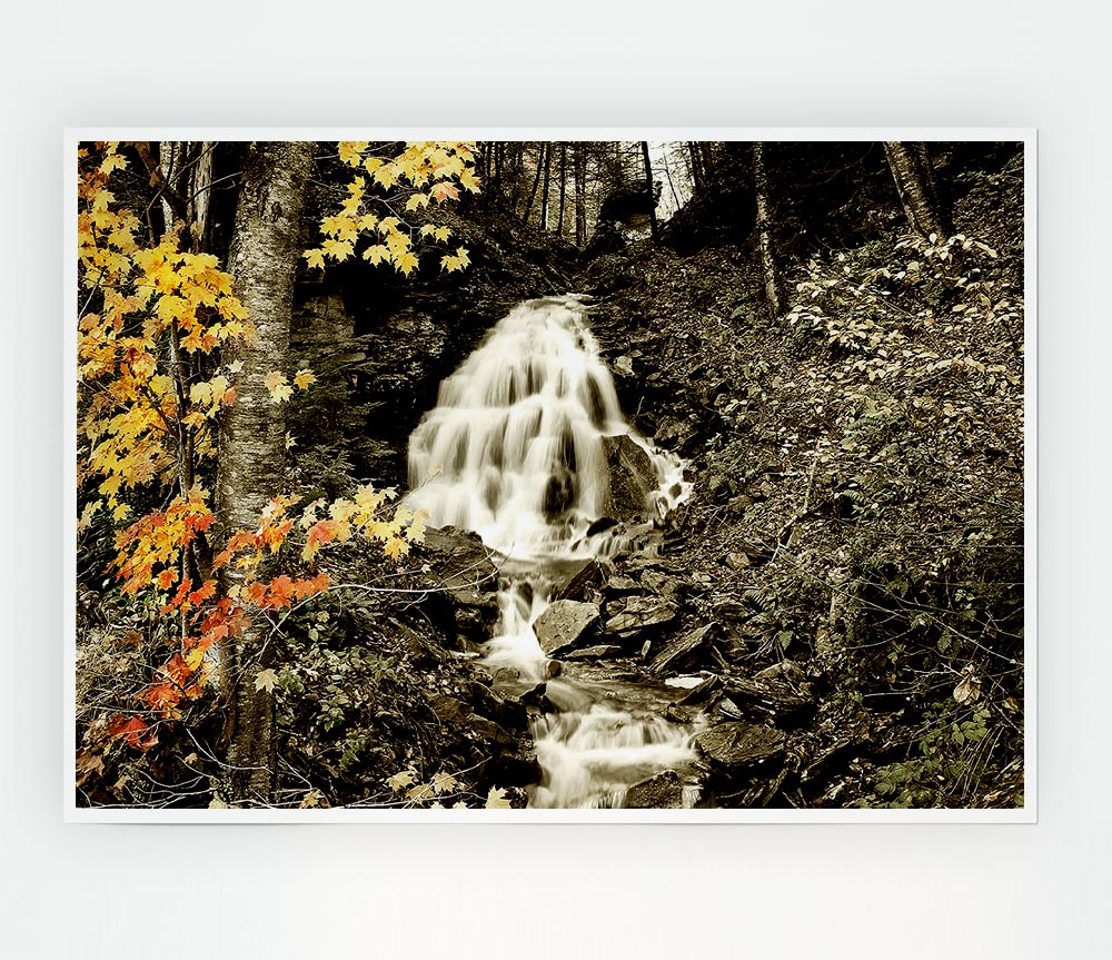 The Hidden Forest Stream Print Poster Wall Art