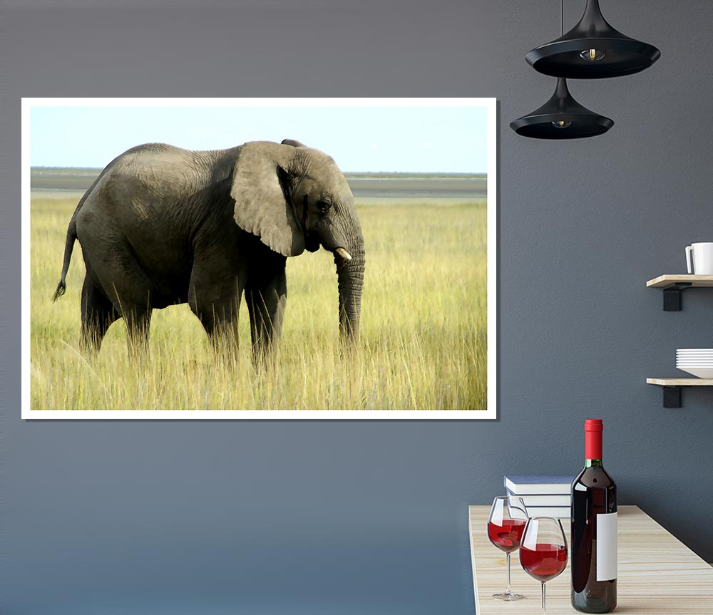 African Elephant Namibia Print Poster Wall Art