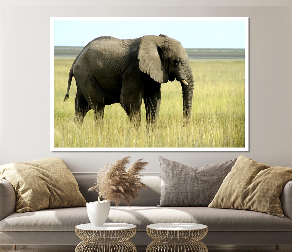 African Elephant Namibia Print Poster Wall Art