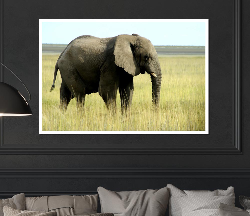 African Elephant Namibia Print Poster Wall Art